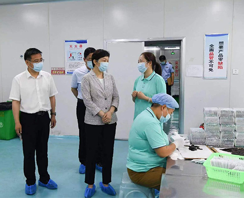 平顶山市市委常委、统战部部长刘颖一行莅临河南瑞迪康参观调研